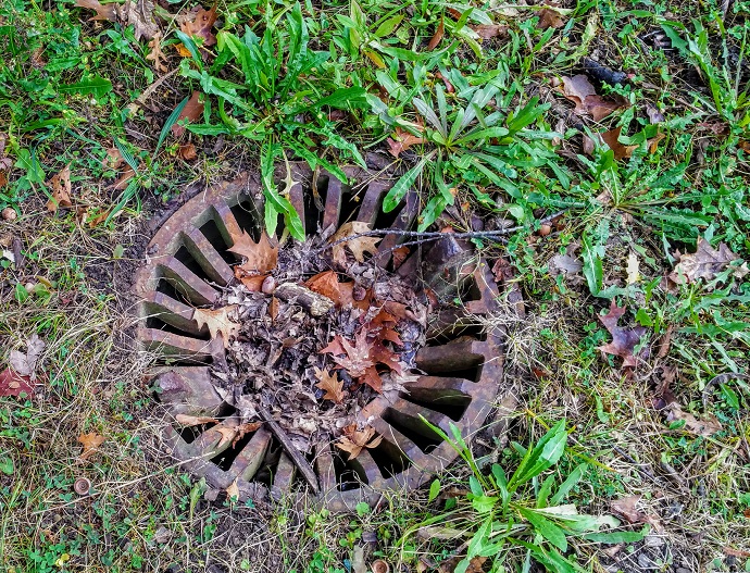 Drain in Forest Preserve
