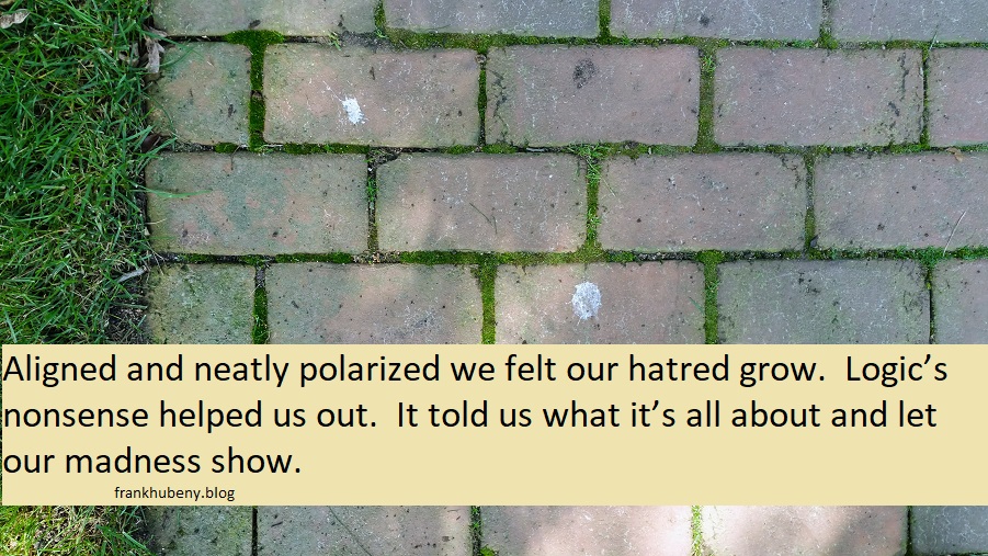 Aligned and neatly polarized we felt our hatred grow. Logic_s nonsense helped us out. It told us what it_s all about and let our madness show.